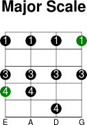 Major Scale Pattern - Bass