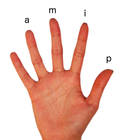 PIMA Hand